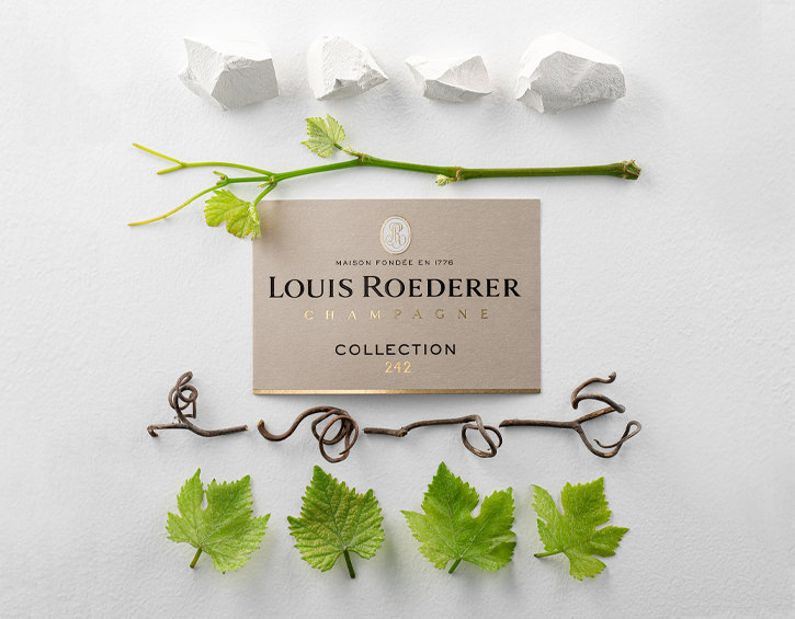  Louis Roederer Collection 242路易王妃